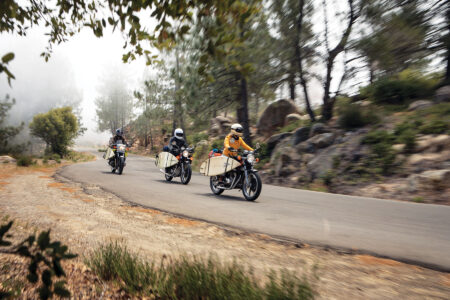 Surf Riders Image